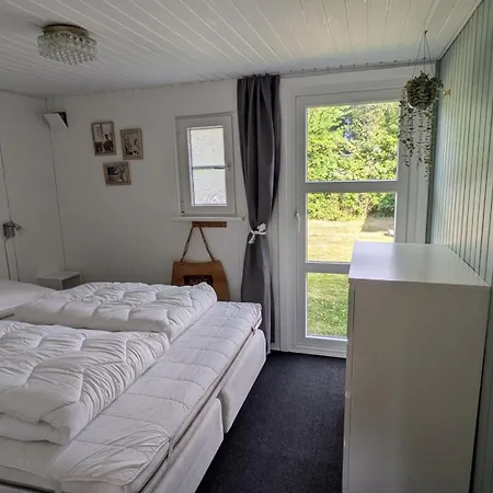 Coziness Near And Forest *